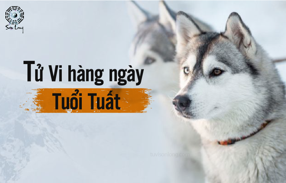 TỬ VI HÀNG NGÀY 01/07/2020 12 CON GIÁP – TUỔI TUẤT TỬ VI HÀNG NGÀY 01/07/2020 12 CON GIÁP – TUỔI TUẤT