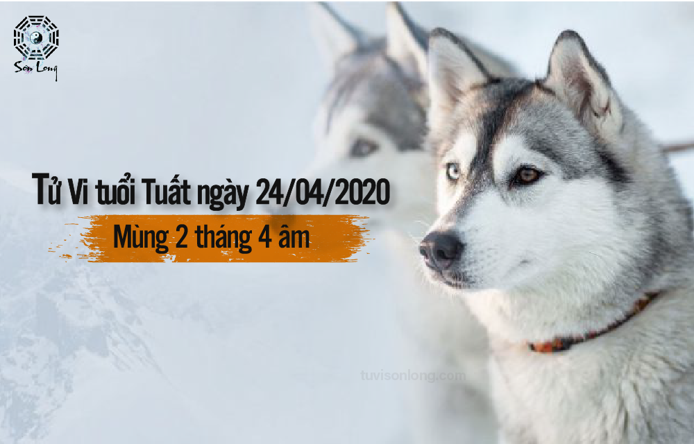TỬ VI HÀNG NGÀY 12 CON GIÁP – TUỔI TUẤT NGÀY 24/04/2020
