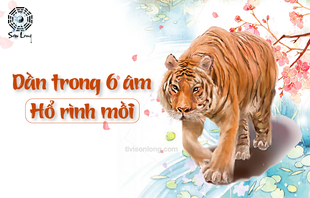TỬ VI HÀNG NGÀY 01/08/2020 12 CON GIÁP – TUỔI DẦN TỬ VI HÀNG NGÀY 01/08/2020 12 CON GIÁP – TUỔI DẦN
