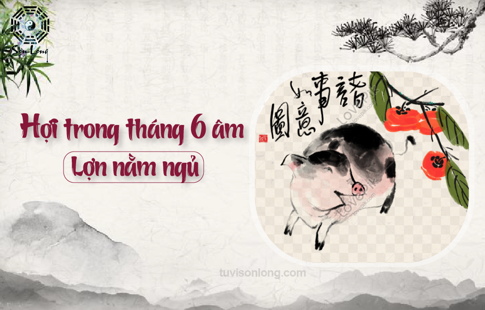 TỬ VI HÀNG NGÀY 29/07/2020 12 CON GIÁP – TUỔI HỢI TỬ VI HÀNG NGÀY 29/07/2020 12 CON GIÁP – TUỔI HỢI