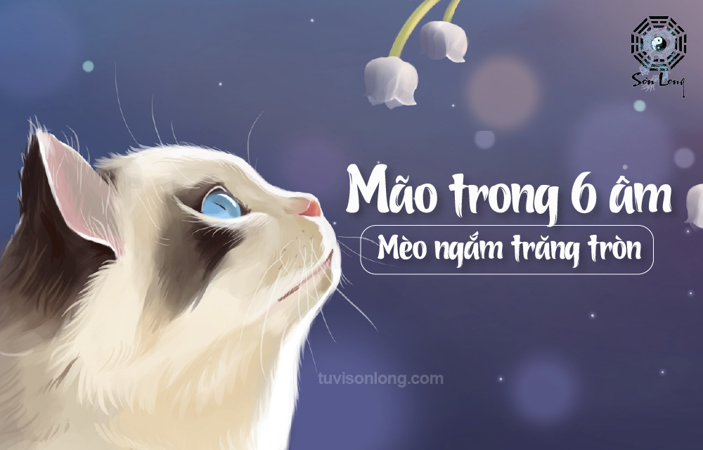 TỬ VI HÀNG NGÀY 01/08/2020 12 CON GIÁP – TUỔI MÃO TỬ VI HÀNG NGÀY 01/08/2020 12 CON GIÁP – TUỔI MÃO