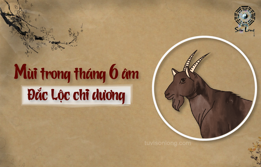 TỬ VI HÀNG NGÀY 29/07/2020 12 CON GIÁP – TUỔI MÙI TỬ VI HÀNG NGÀY 29/07/2020 12 CON GIÁP – TUỔI MÙI