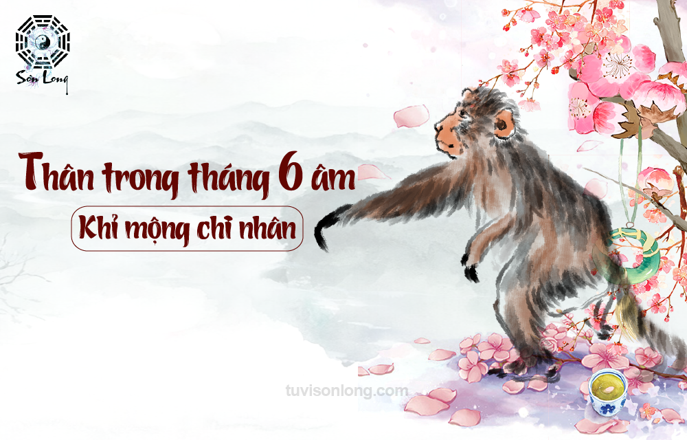 TỬ VI HÀNG NGÀY 29/07/2020 12 CON GIÁP – TUỔI THÂN TỬ VI HÀNG NGÀY 29/07/2020 12 CON GIÁP – TUỔI THÂN
