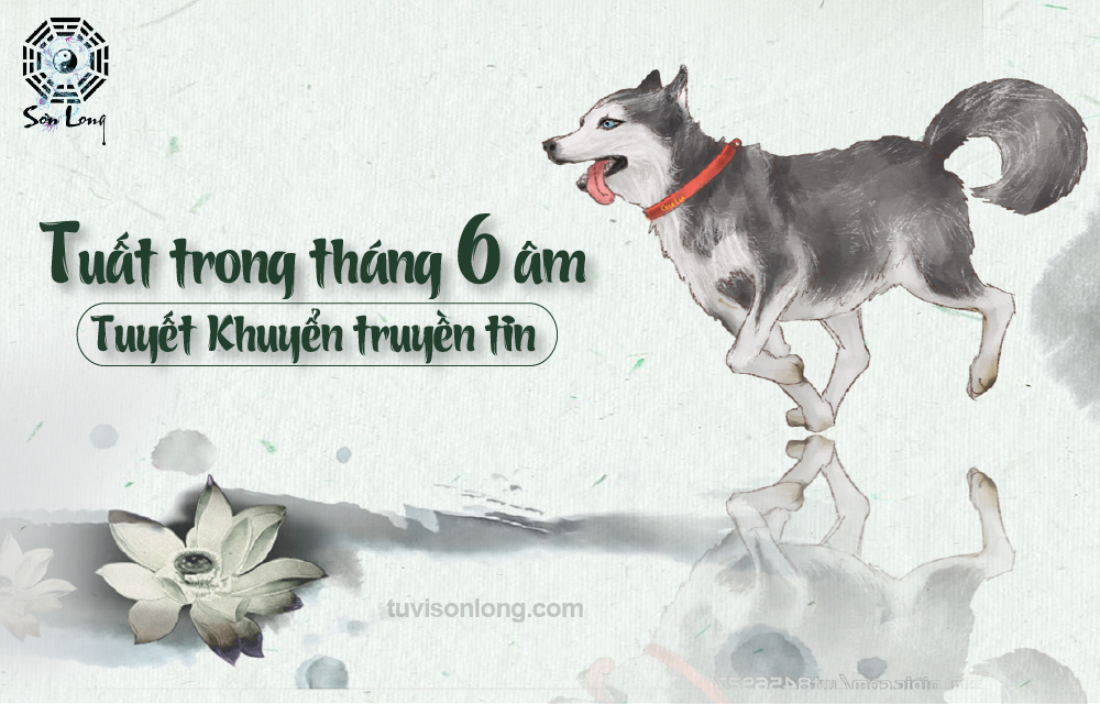 TỬ VI HÀNG NGÀY 29/07/2020 12 CON GIÁP – TUỔI TUẤT TỬ VI HÀNG NGÀY 29/07/2020 12 CON GIÁP – TUỔI TUẤT