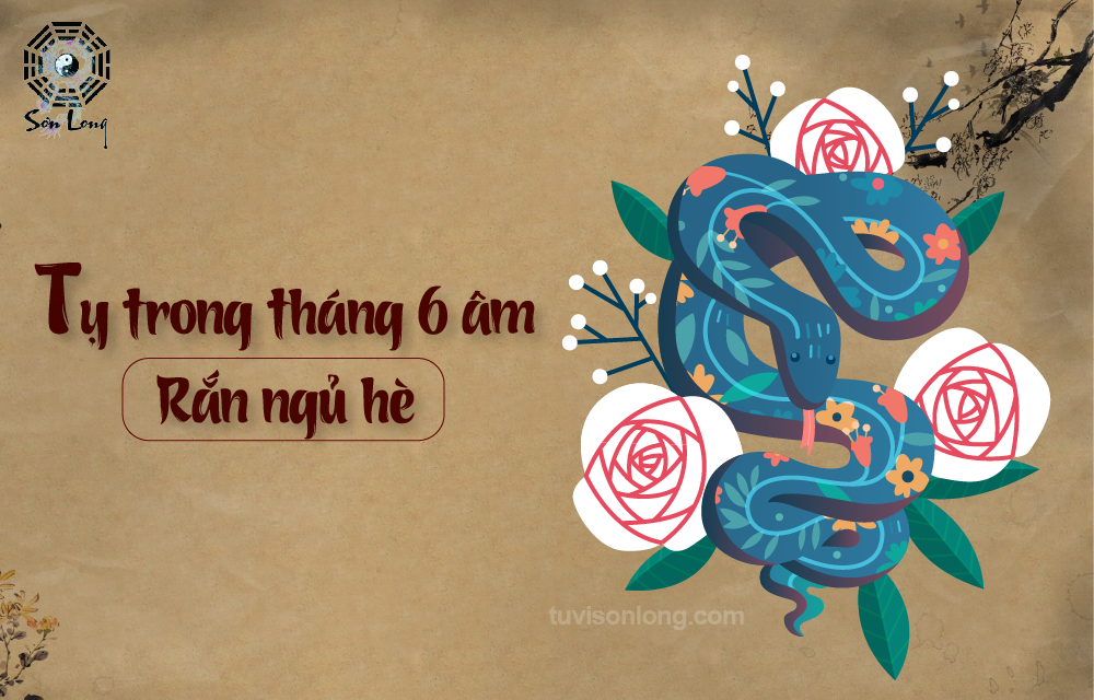 TỬ VI HÀNG NGÀY 01/08/2020 12 CON GIÁP – TUỔI TỴ TỬ VI HÀNG NGÀY 01/08/2020 12 CON GIÁP – TUỔI TỴ