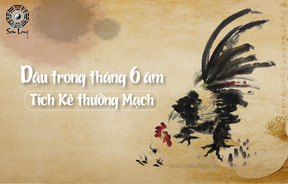 TỬ VI HÀNG NGÀY 01/08/2020 12 CON GIÁP – TUỔI DẬU TỬ VI HÀNG NGÀY 01/08/2020 12 CON GIÁP – TUỔI DẬU