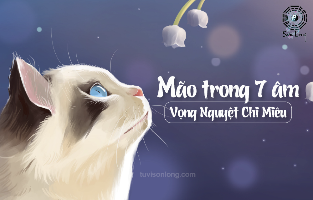 TỬ VI HÀNG NGÀY 12 CON GIÁP TUỔI MÃO NGÀY 16/09/2020