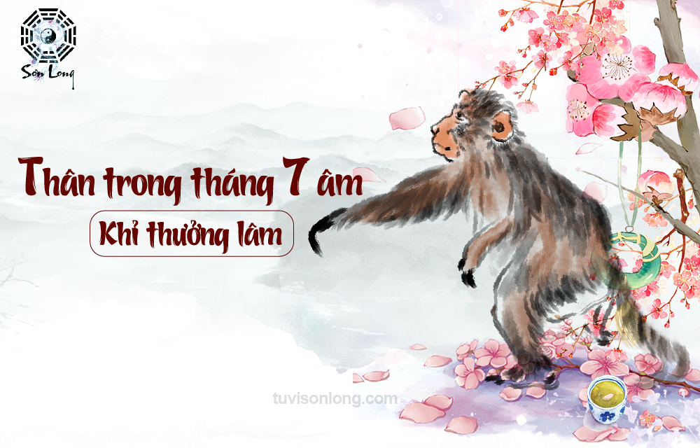 TỬ VI HÀNG NGÀY 12 CON GIÁP TUỔI THÂN NGÀY 16/09/2020