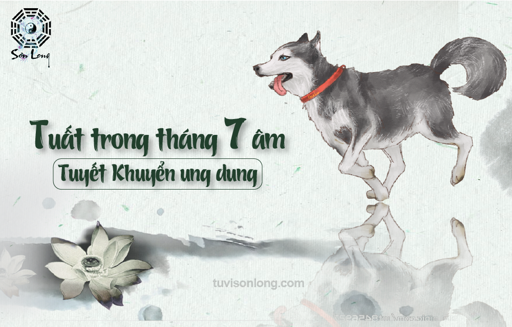 TỬ VI HÀNG NGÀY 12 CON GIÁP TUỔI TUẤT NGÀY 16/09/2020