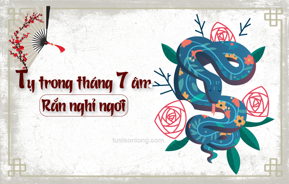 TỬ VI HÀNG NGÀY 12 CON GIÁP TUỔI TỴ NGÀY 16/09/2020