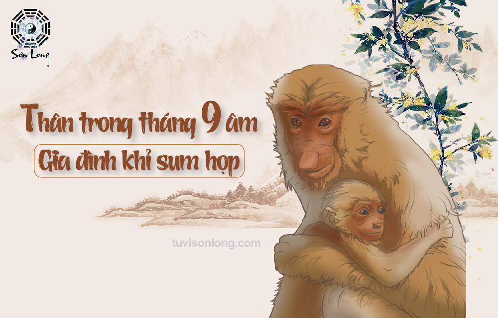 TỬ VI HÀNG NGÀY 12 CON GIÁP TUỔI THÂN NGÀY 13/11/2020