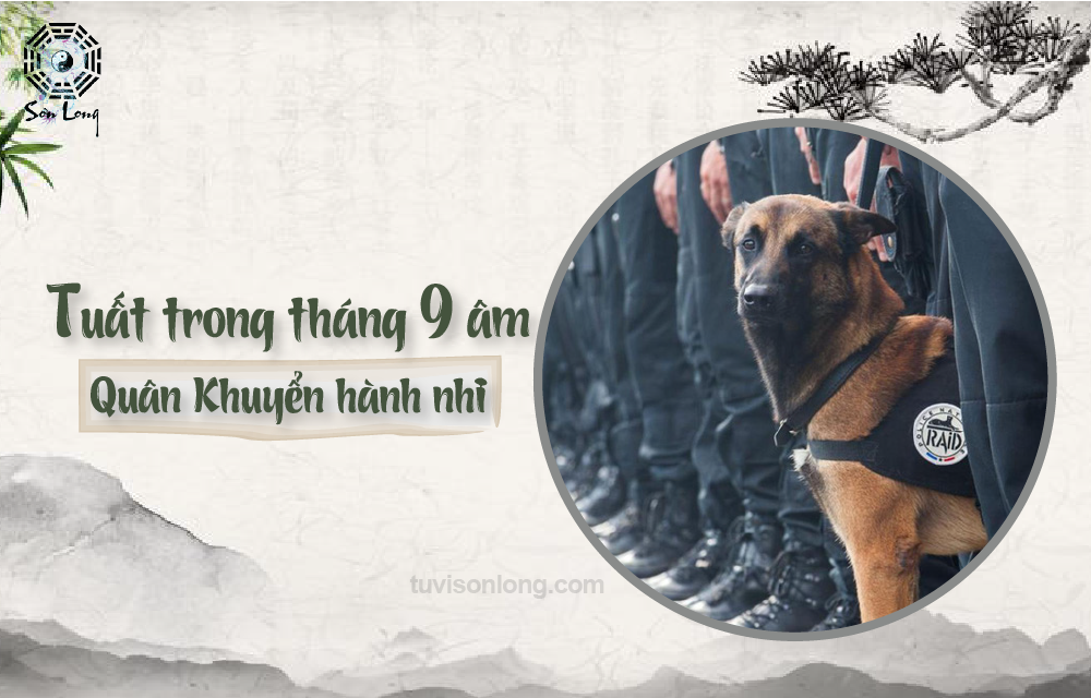 TỬ VI HÀNG NGÀY 12 CON GIÁP TUỔI TUẤT NGÀY 13/11/2020