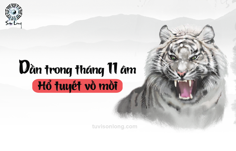 TỬ VI HÀNG NGÀY 12 CON GIÁP – TUỔI DẦN NGÀY 11/01/2021