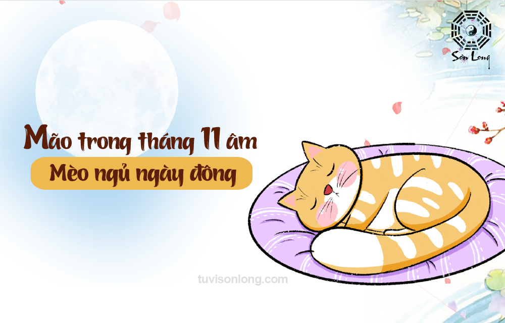 TỬ VI HÀNG NGÀY 12 CON GIÁP – TUỔI MÃO NGÀY 11/01/2021