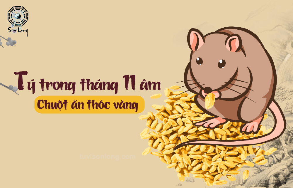 TỬ VI HÀNG NGÀY 12 CON GIÁP – TUỔI TÝ NGÀY 11/01/2021