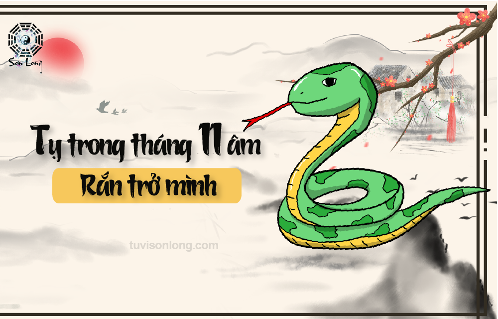 TỬ VI HÀNG NGÀY 12 CON GIÁP – TUỔI TỴ NGÀY 11/01/2021