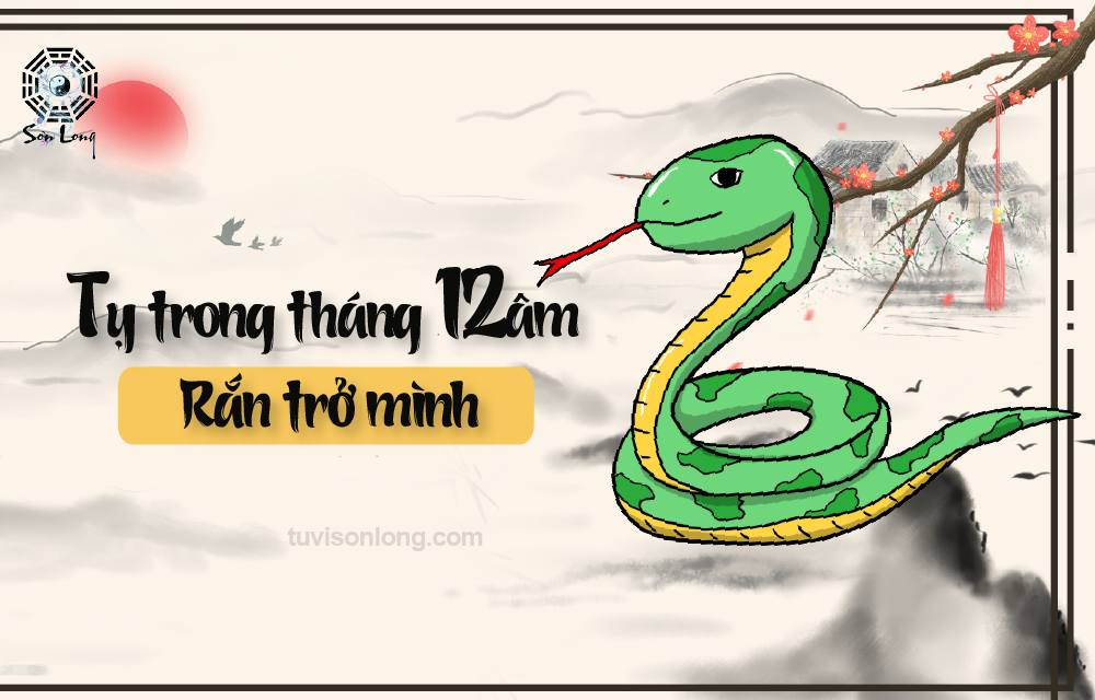 TỬ VI HÀNG NGÀY 12 CON GIÁP – TUỔI TỴ NGÀY 01/02/2021