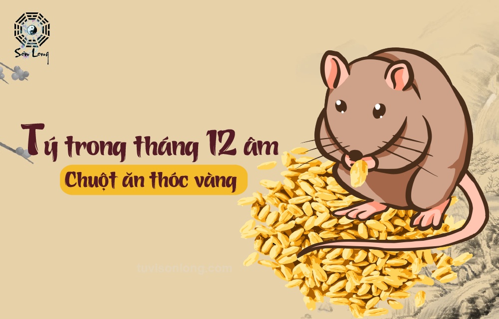 TỬ VI HÀNG NGÀY 12 CON GIÁP – TUỔI TÝ NGÀY 29/01/2021