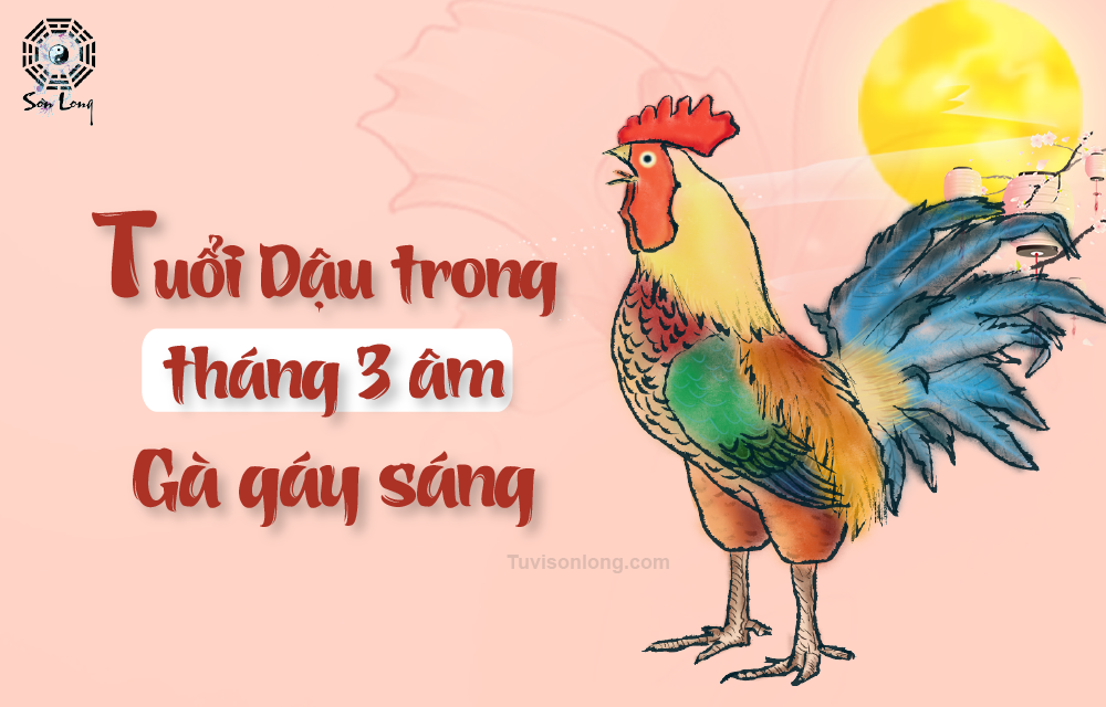 Tử vi hàng ngày của 12 con Giáp tuổi Dậu ngày 13/05