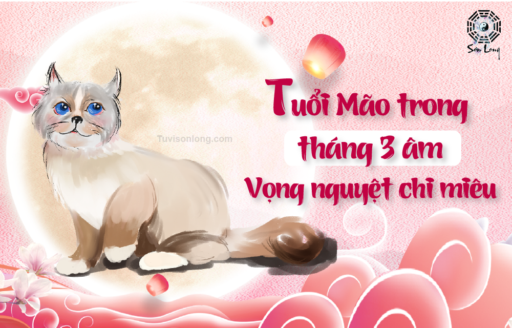 Tử vi hàng ngày của 12 con Giáp tuổi Mão ngày 13/05