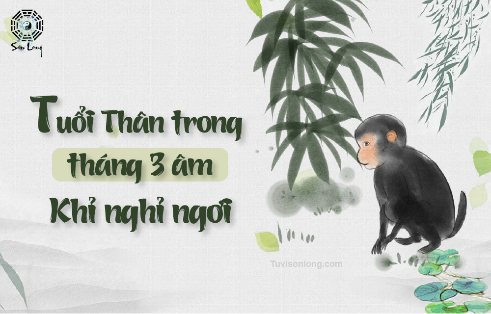 Tử vi hàng ngày của 12 con Giáp tuổi Thân ngày 13/05