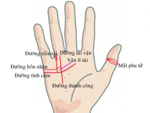 XEM CHỈ TAY ĐƯỜNG THÁI DƯƠNG ĐỌC VỊ KHẢ NĂNG KIẾM TIỀN