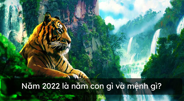 SINH NĂM 2022 MỆNH GÌ, HỢP HƯỚNG NÀO, HỢP MÀU GÌ