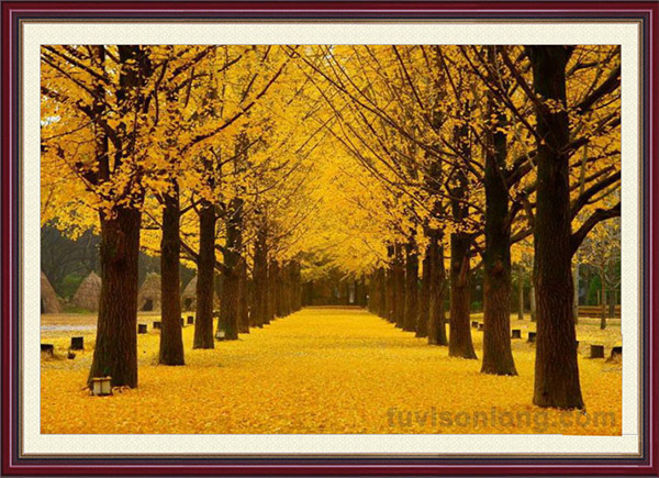 Tranh hàng cây mùa thu lá vàng treo tường
